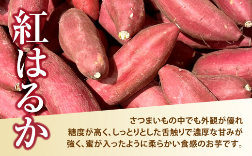 定期便 無農薬 さつまいも 紅はるか 3㎏×3ヶ月 福島県 大玉村産 SS～Sサイズ混合【14015】