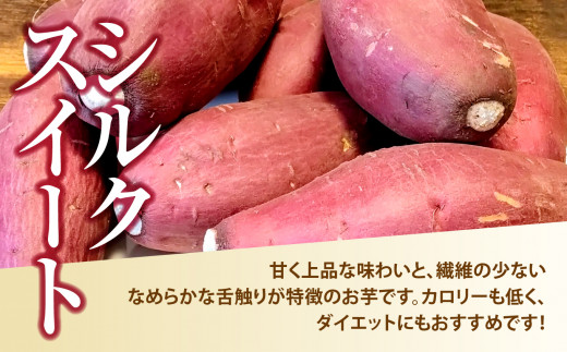 定期便 無農薬 さつまいも シルクスイート 3㎏×3ヶ月 福島県 大玉村産 SS～Sサイズ混合【14017】