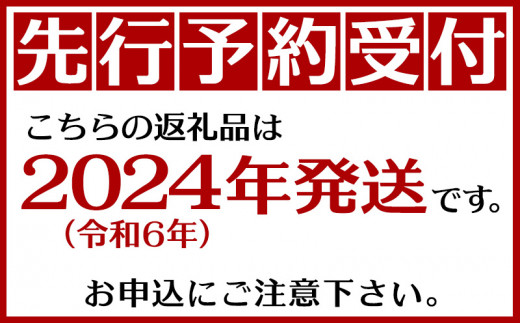 2024年発送】こだわりの無農薬栽培パッションフルーツ1kg ＜贈答用