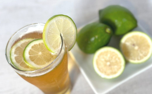 こいけ農園がおすすめするグリーンレモンの楽しみ方は「グリーンレモンビール」。爽快感が引き立ちます。
