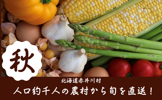 秋【産地直送】9月旬の野菜セット（野菜や加工品のお店かしづく）