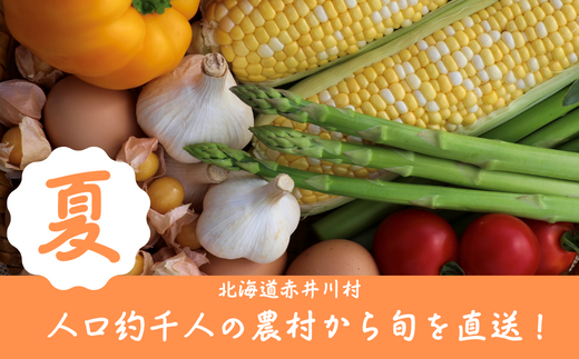 夏【産地直送】8月旬の野菜セット（野菜や加工品のお店かしづく）
