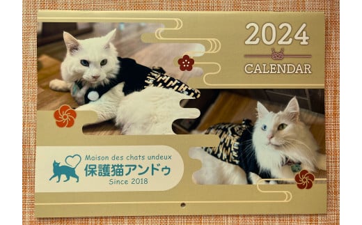 fc-36-002 『保護猫アンドゥ』オリジナルカレンダーとフリータイムチケット3枚のセット 590917 - 岩手県釜石市
