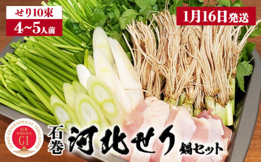 【1月16日発送】せり鍋 セット 4-5人前 せり 長ねぎ パックご飯 スープ 鶏肉 セリ セリ鍋 河北せり 野菜 鍋 1089198 - 宮城県石巻市