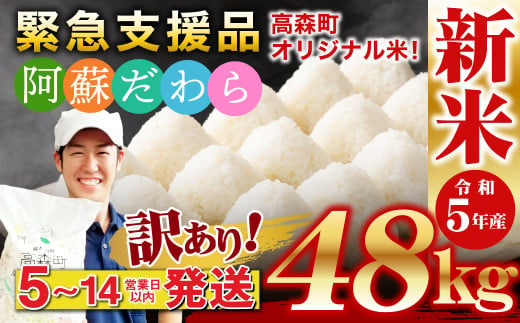 【令和5年産】【訳あり】阿蘇だわら48kg（5kg×6、6kg×3） 熊本県 高森町 オリジナル米  329374 - 熊本県高森町