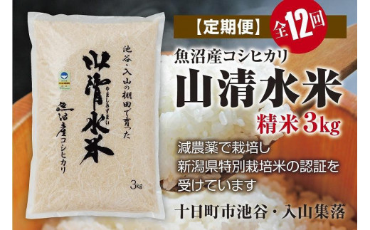 定期便／全12回】精米3kg 新潟県魚沼産コシヒカリ「山清水米」｜ふるラボ