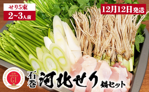 【12月12日発送】せり鍋 セット 2-3人前 せり 長ねぎ パックご飯 スープ 鶏肉 セリ セリ鍋 河北せり 野菜 鍋 1089184 - 宮城県石巻市