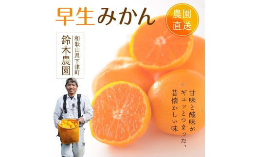 ★温州みかん 5kg S・M・Lサイズのいずれか【和歌山のみかん】11月～1月に和歌山鈴木農園より農園直送 温州ミカン 温州 下津みかん しもつみかん ミカン 蜜柑　mikan Sサイズ Mサイズ 1089949 - 和歌山県海南市