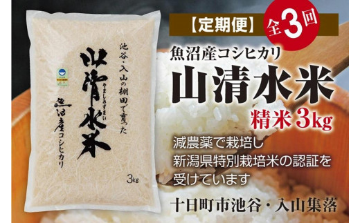 定期便／全3回】精米3kg 新潟県魚沼産コシヒカリ「山清水米」 - 新潟県