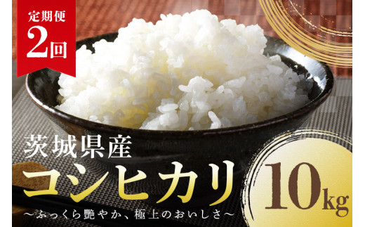 定期便2回】【令和5年産新米】コシヒカリ 10kg こしひかり 米 白米