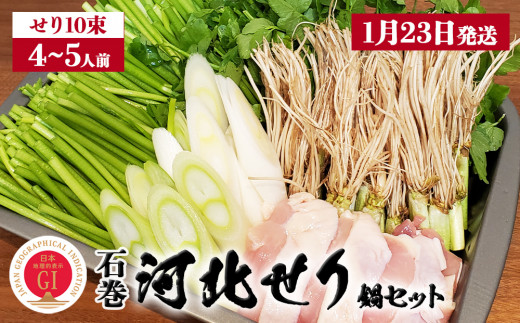 【1月23日発送】せり鍋 セット 4-5人前 せり 長ねぎ パックご飯 スープ 鶏肉 セリ セリ鍋 河北せり 野菜 鍋 1089200 - 宮城県石巻市