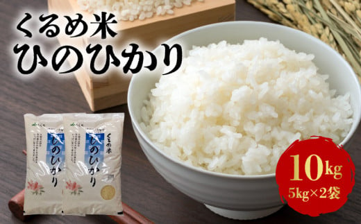 特別栽培米「くるめ米」　10kg 341458 - 福岡県久留米市
