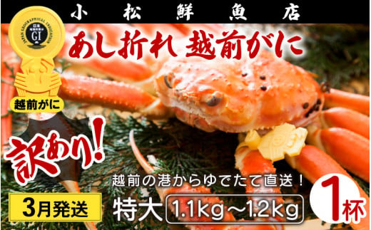 【訳あり】足折れ 越前がに 特大サイズ × 1杯（1.1～1.2kg）地元で喜ばれるゆで加減・塩加減で越前の港から直送！【雄 ズワイガニ ずわいがに 姿 ボイル 冷蔵 福井県】【3月発送分】希望日指定可 備考欄に希望日をご記入ください [e23-x014_03] 1095114 - 福井県越前町