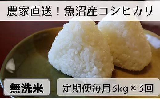 定期便／全3回】無洗米3kg 新潟県魚沼産コシヒカリ「山清水米」｜ふるラボ