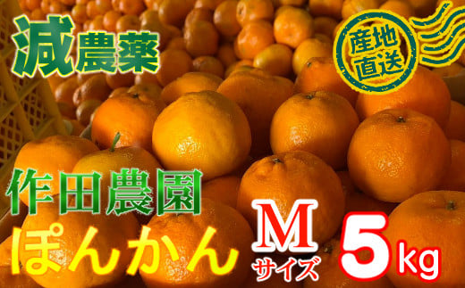 【秀品】作田農園直送！ポンカンＭサイズ 5kg_減農薬 有機肥料 ポンカン ぽんかん くだもの 果物 フルーツ 柑橘 かんきつ みかん ミカン 人気