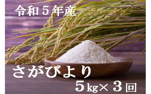 令和5年産【特A評価】さがびより 白米5kg 定期便（3回便） B515 - 佐賀