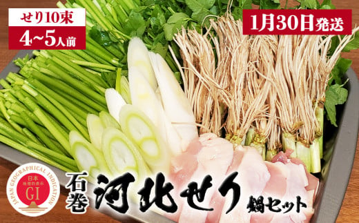 【1月30日発送】せり鍋 セット 4-5人前 せり 長ねぎ パックご飯 スープ 鶏肉 セリ セリ鍋 河北せり 野菜 鍋 1089202 - 宮城県石巻市