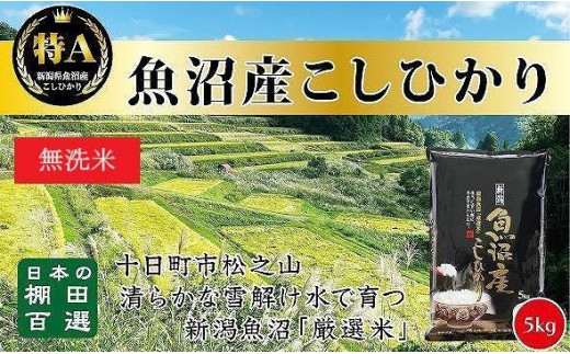 新潟県十日町市の新潟県十日町市ふるさと納税担当者がおすすめする絶品