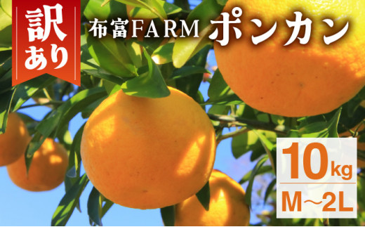 訳ありポンカン　M〜２Lサイズ  10kg　NT3 1084088 - 高知県東洋町