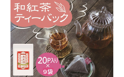 紅茶 定期便 ティーバッグ 静岡 20個入×3袋×3ヶ月連続 / 川根紅茶 紐付きティーバッグ180個、イメージ画像