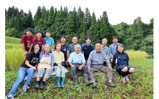 定期便／全4回】精米10kg 新潟県魚沼産コシヒカリ「山清水米」 - 新潟