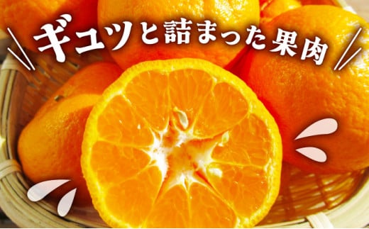 高知県東洋町のふるさと納税 【先行予約】訳ありポンカン　サイズおまかせ　5kg　NT6