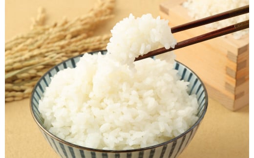 【3回定期便】令和5年産 熊本県産森のくまさん無洗米+お米のお菓子