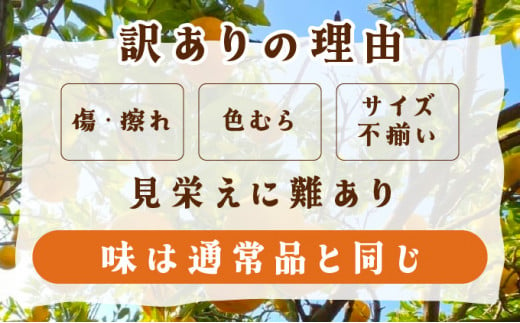 高知県東洋町のふるさと納税 【先行予約】訳ありポンカン　サイズおまかせ　5kg　NT6