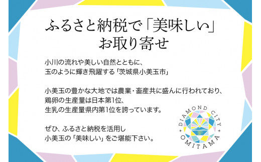 定期便12回】【令和5年産新米】コシヒカリ 5kg こしひかり 米 白米