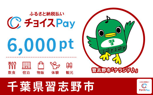 習志野市チョイスPay 6000pt（1pt＝1円）