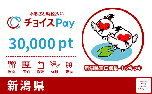 新潟県チョイスPay 30,000pt（1pt＝1円）
