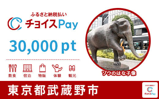 武蔵野市チョイスPay 30,000pt（1pt＝1円）