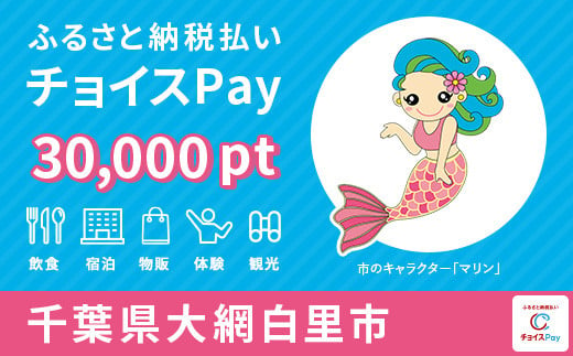 大網白里市チョイスPay 30,000pt（1pt＝1円）