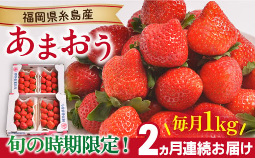 【先行予約】【全2回定期便】【2024年12月より順次発送】 糸島産【冬】 あまおう 4パック 毎月計1kg 糸島市 / 南国フルーツ株式会社 [AIK024] 1092624 - 福岡県糸島市