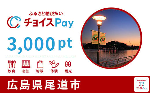 尾道市チョイスPay 3,000pt(1pt=1円)