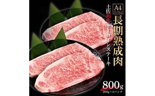 エイジング工法　熟成肉　土佐和牛　特選サーロイン　ステーキ　約800ｇ　冷凍（約200ｇ×4枚） 1093335 - 高知県高知市