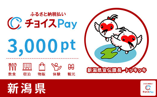 新潟県チョイスPay 3,000pt（1pt＝1円）