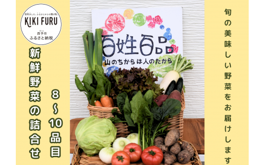新鮮野菜の詰め合わせ（８～10品目） 894489 - 愛媛県西予市