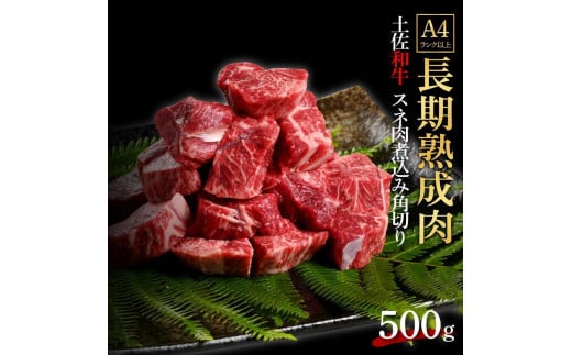 エイジング工法　熟成肉　土佐和牛　特選スネ肉　 煮込み用角切り　約500g　冷凍 1093341 - 高知県高知市