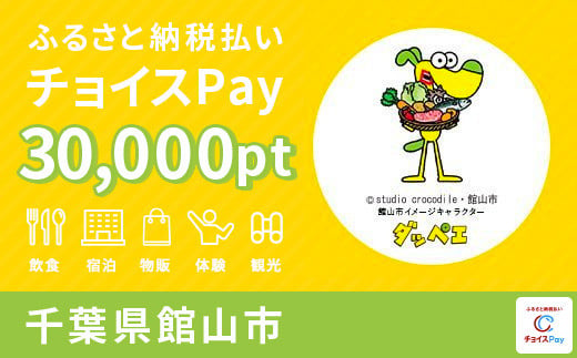 館山市チョイスPay 30,000pt（1pt＝1円）