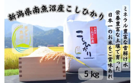 【美味】南魚沼産塩沢コシヒカリ　5kg