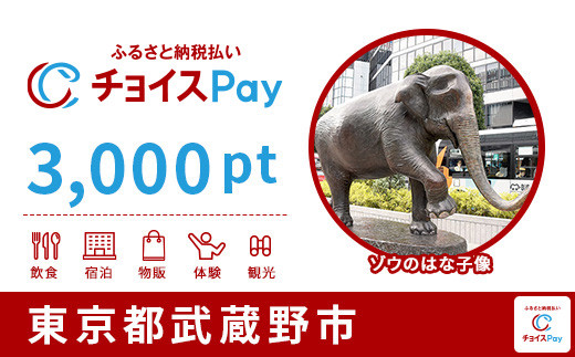 武蔵野市チョイスPay3,000pt(1pt=1円)
