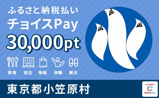小笠原村チョイスPay 30,000pt（1pt＝1円）