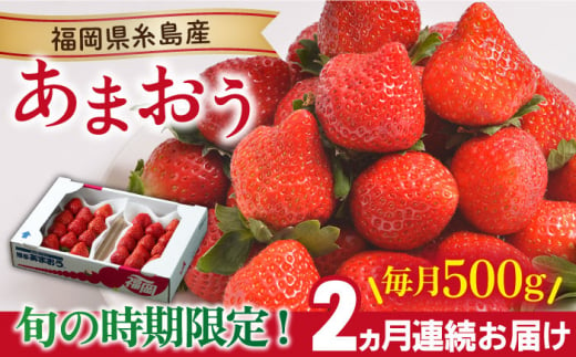 【先行予約】【全2回定期便】【2024年12月より順次発送】糸島産【冬】 あまおう 2パック 毎月計500g 糸島市 / 南国フルーツ株式会社 [AIK025] 1092625 - 福岡県糸島市