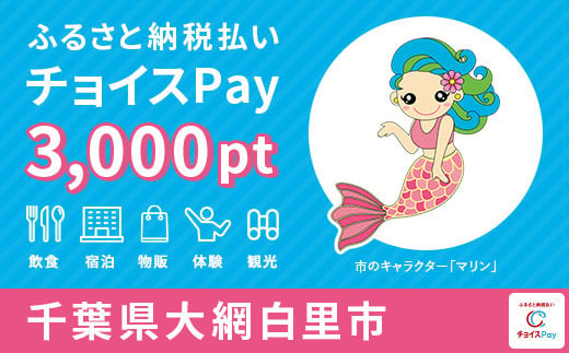 大網白里市チョイスPay 3,000pt（1pt＝1円）