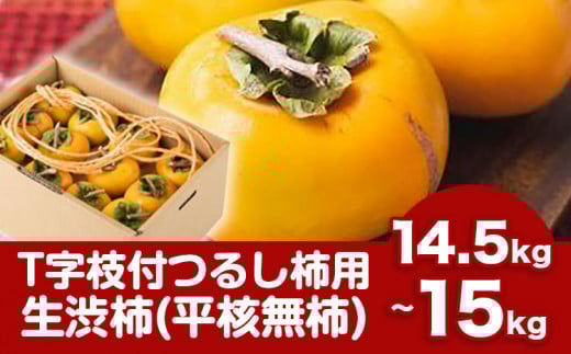 T字枝付つるし柿用生渋柿 14.5～15kg ふるさと農園《10月下旬-11月下旬頃出荷》 和歌山県 日高町 