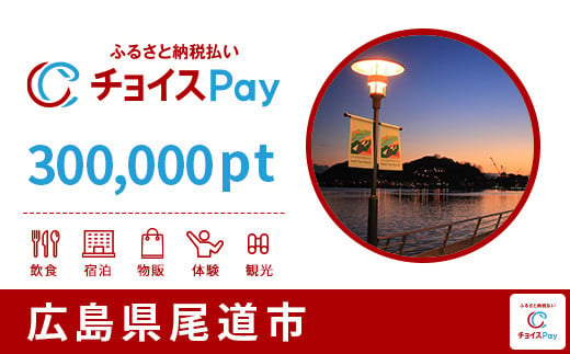 尾道市チョイスPay 300,000pt（1pt＝1円）