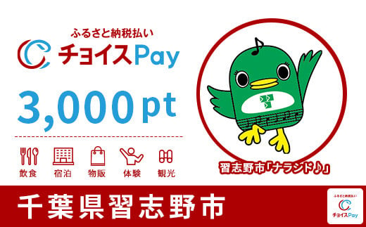 習志野市チョイスPay 3000pt（1pt＝1円）