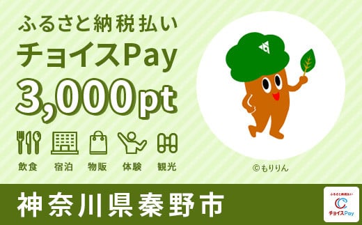 秦野市チョイスPay 3,000pt（1pt＝1円）