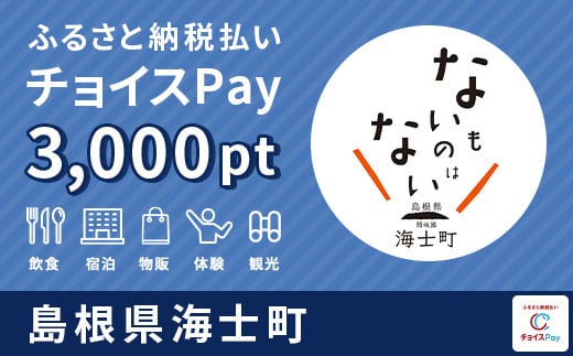 【ジオホテル「Entô」で利用可能】海士町チョイスPay 3,000pt（1pt＝1円）